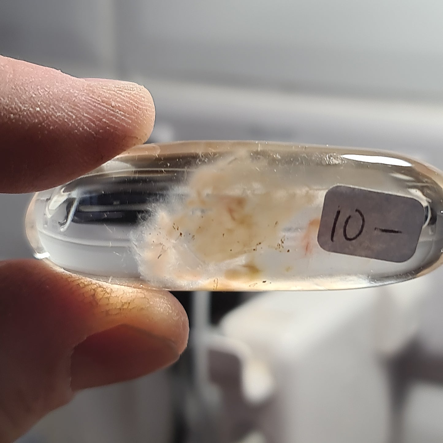 Clear Quartz Mirror Polished Pebbles