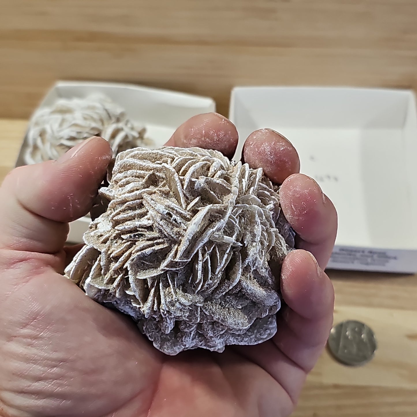 Desert Rose Display Pieces