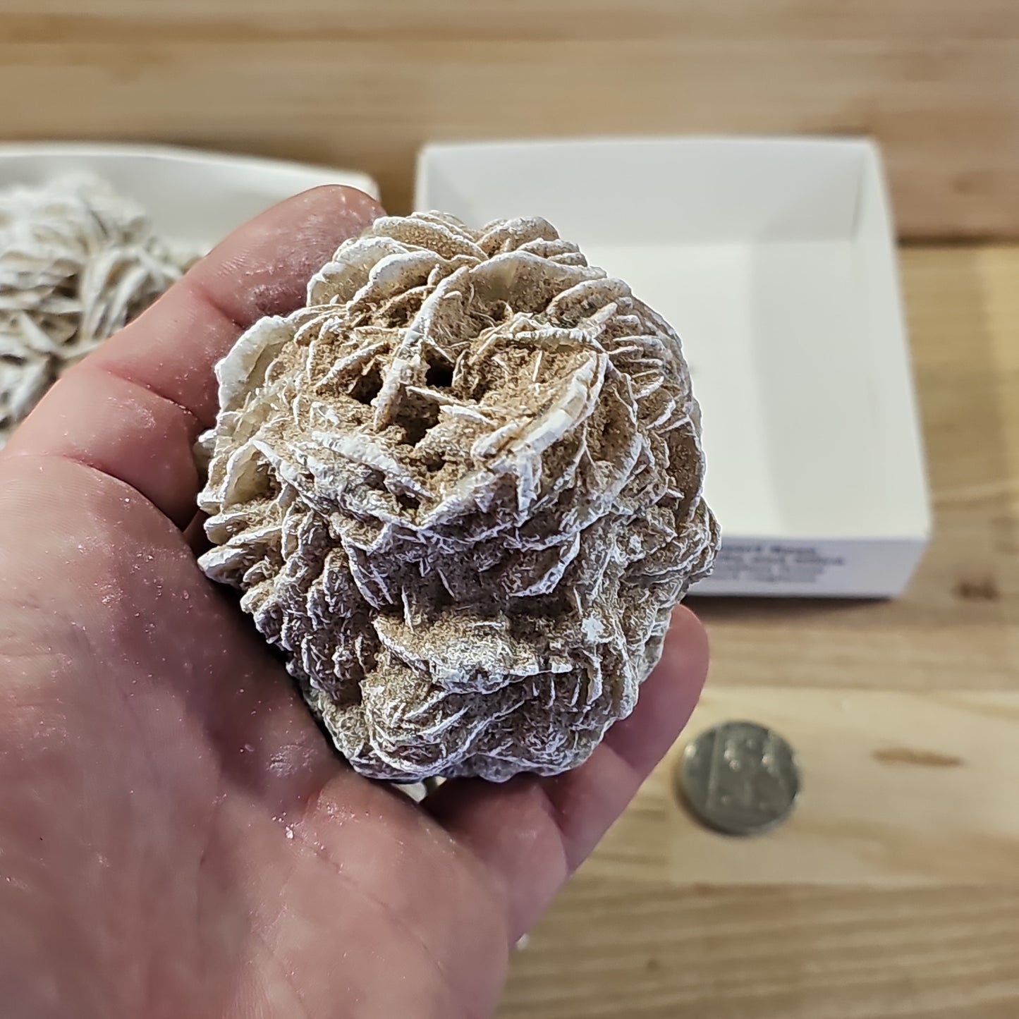 Desert Rose Display Pieces