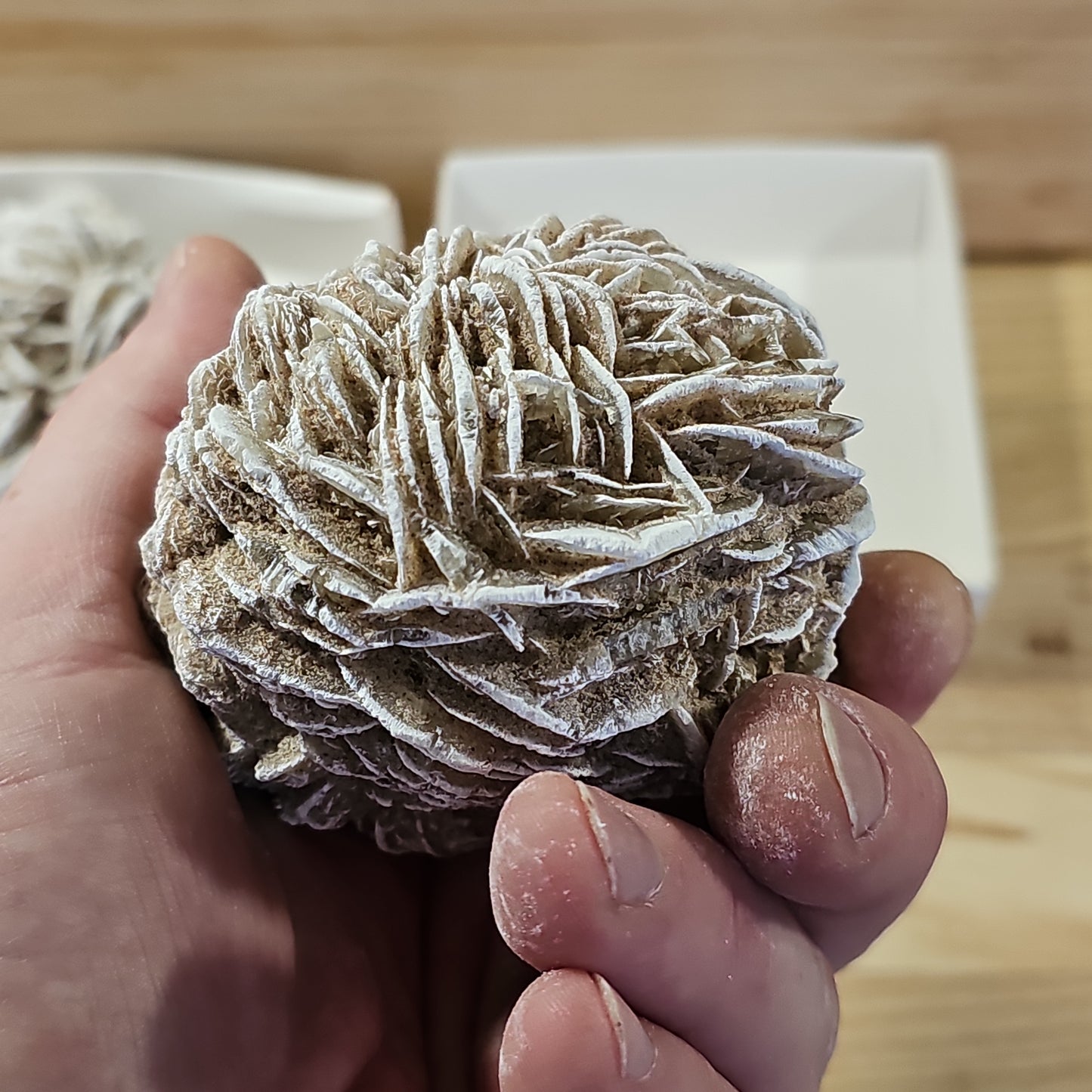 Desert Rose Display Pieces