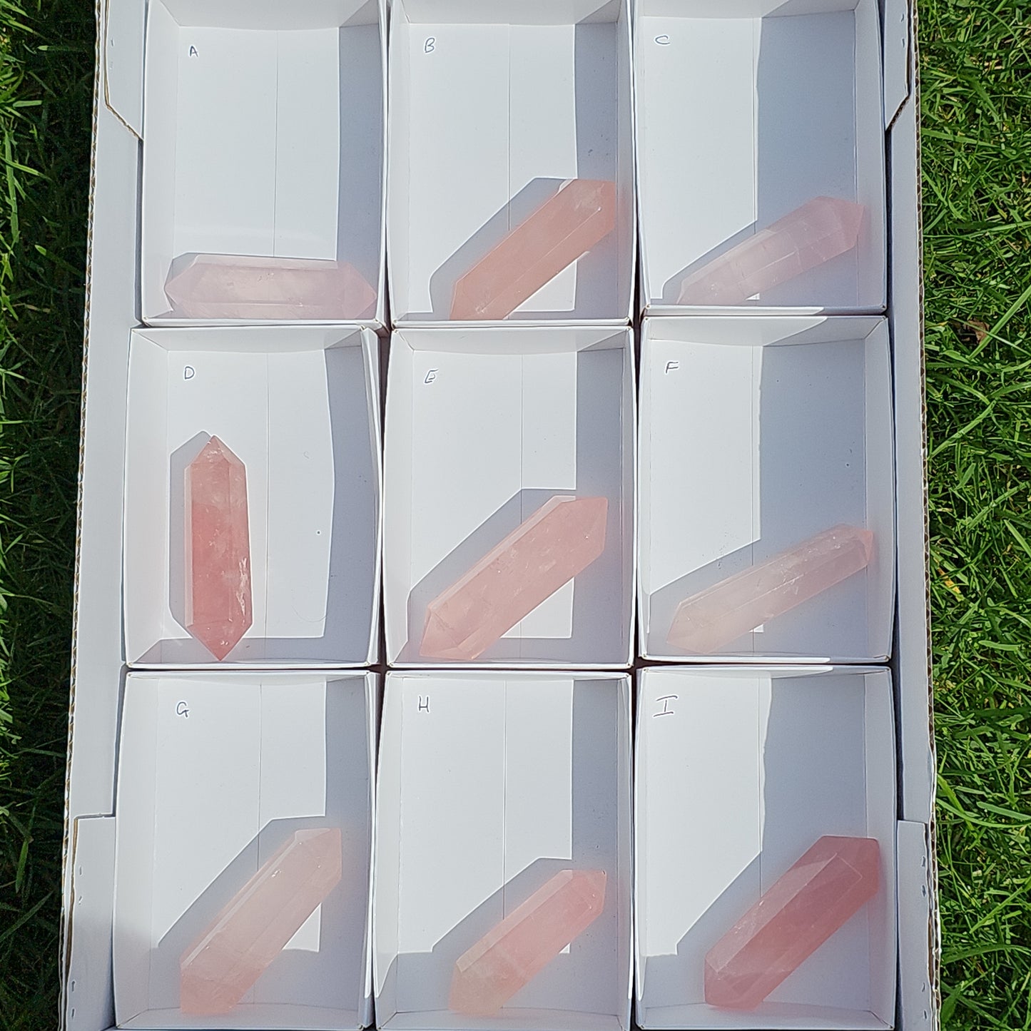 Rose Quartz DTs (Double Terminated Points)
