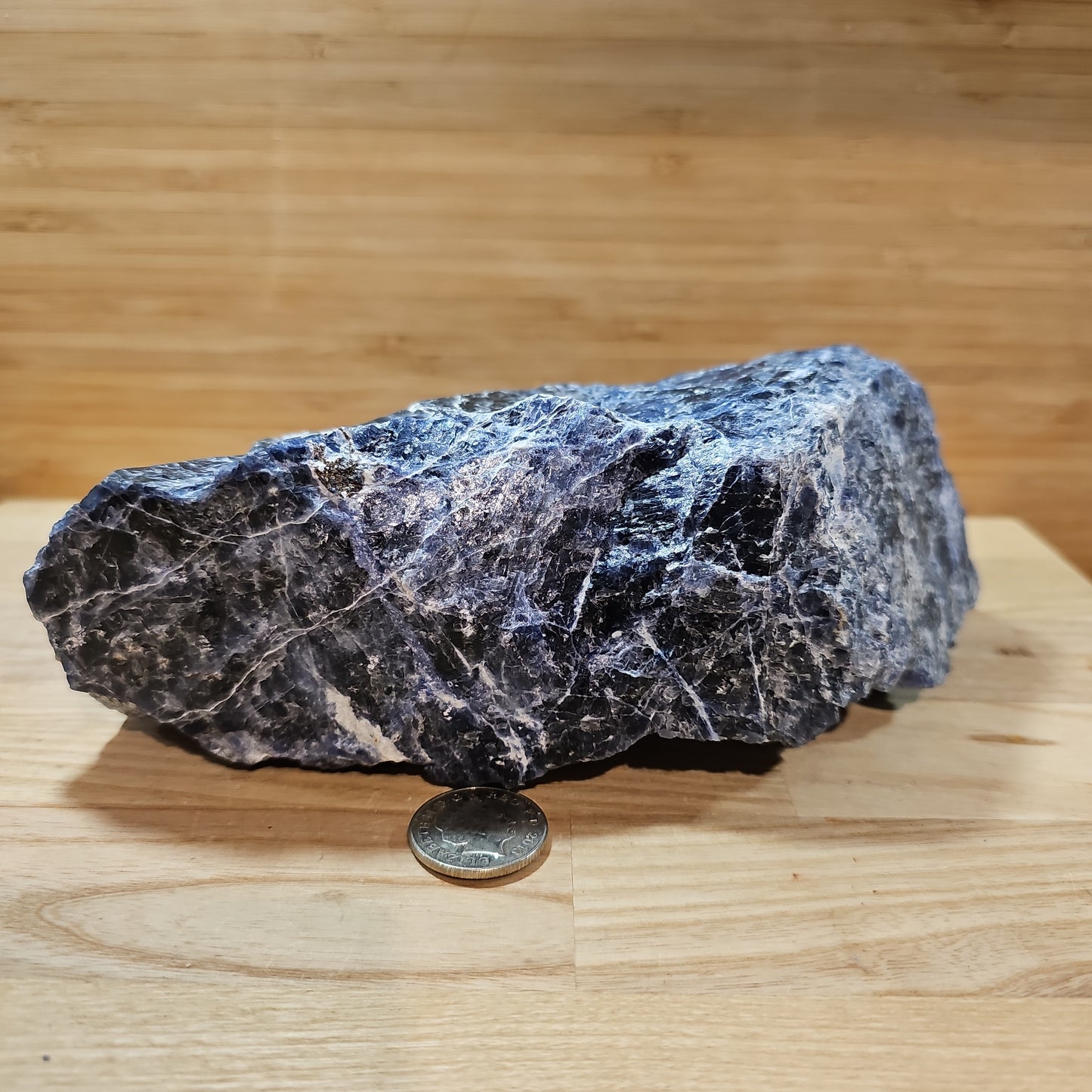 Sodalite Raw Display Piece