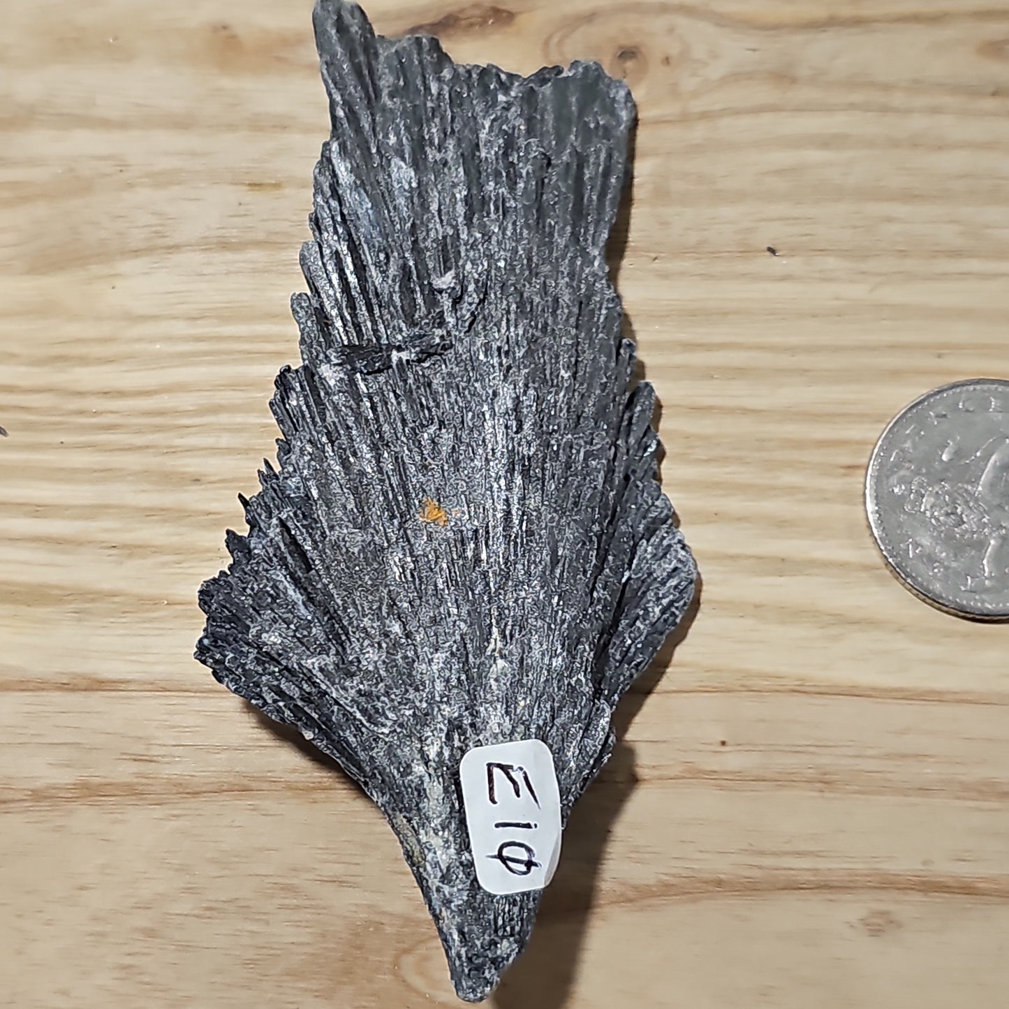 Black Kyanite - Raw pieces