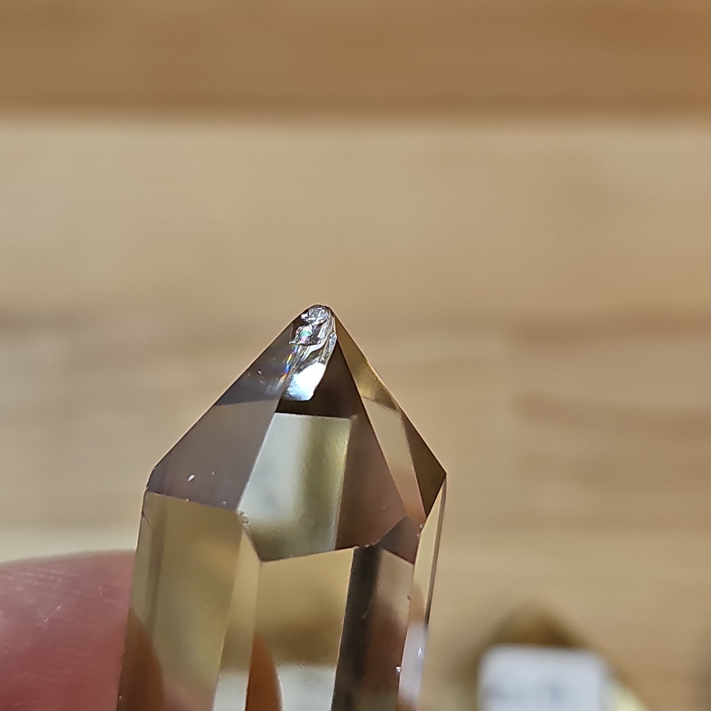 'A' grade Citrine DTs