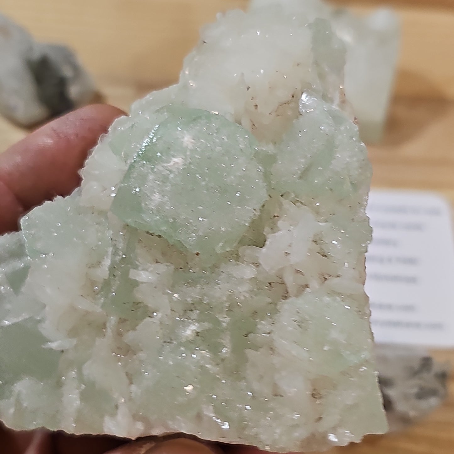Apophyllites