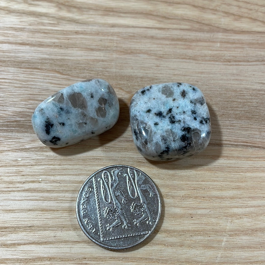 Kiwi Jasper Tumblestone