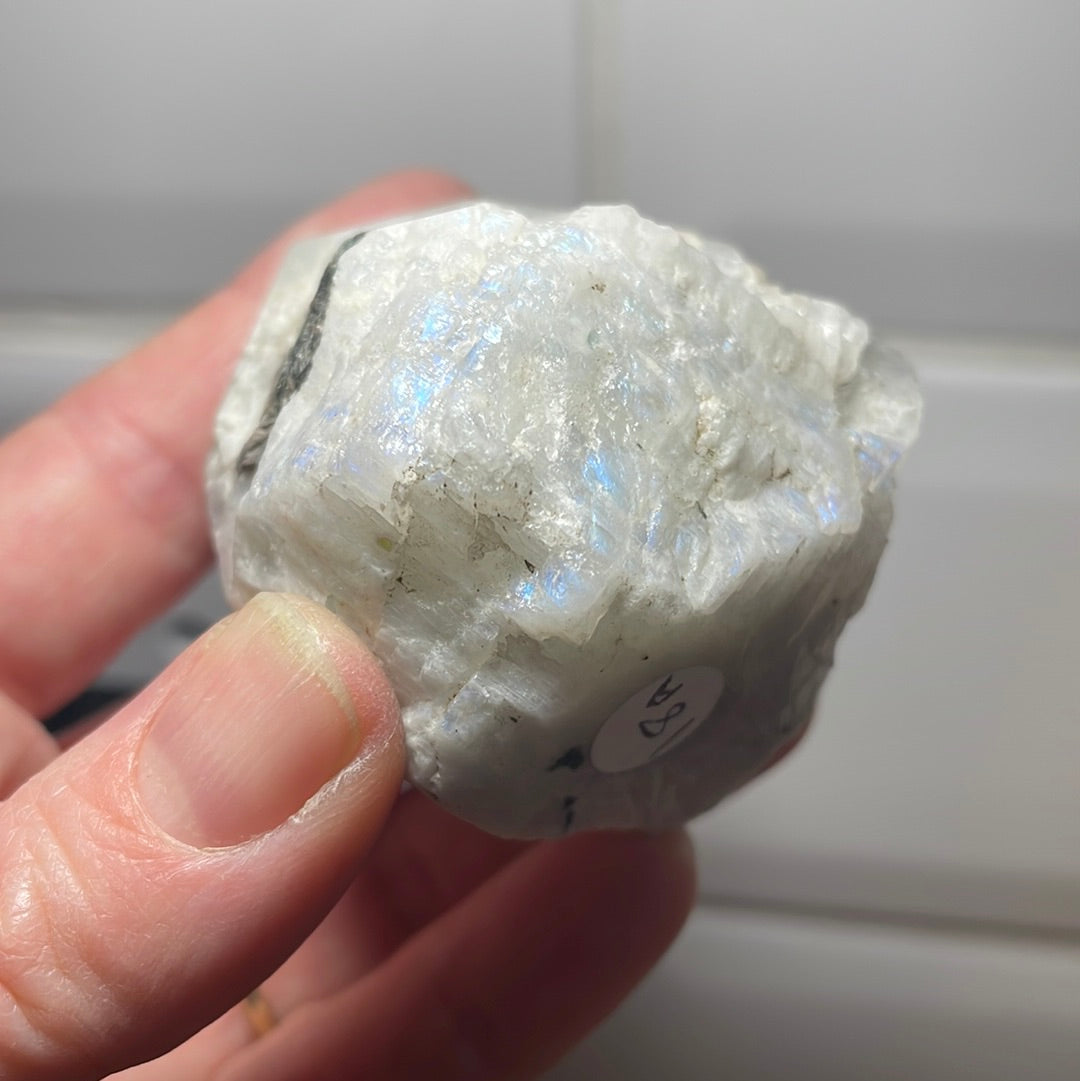 Rainbow Moonstone Raw with Cut and Polished Point