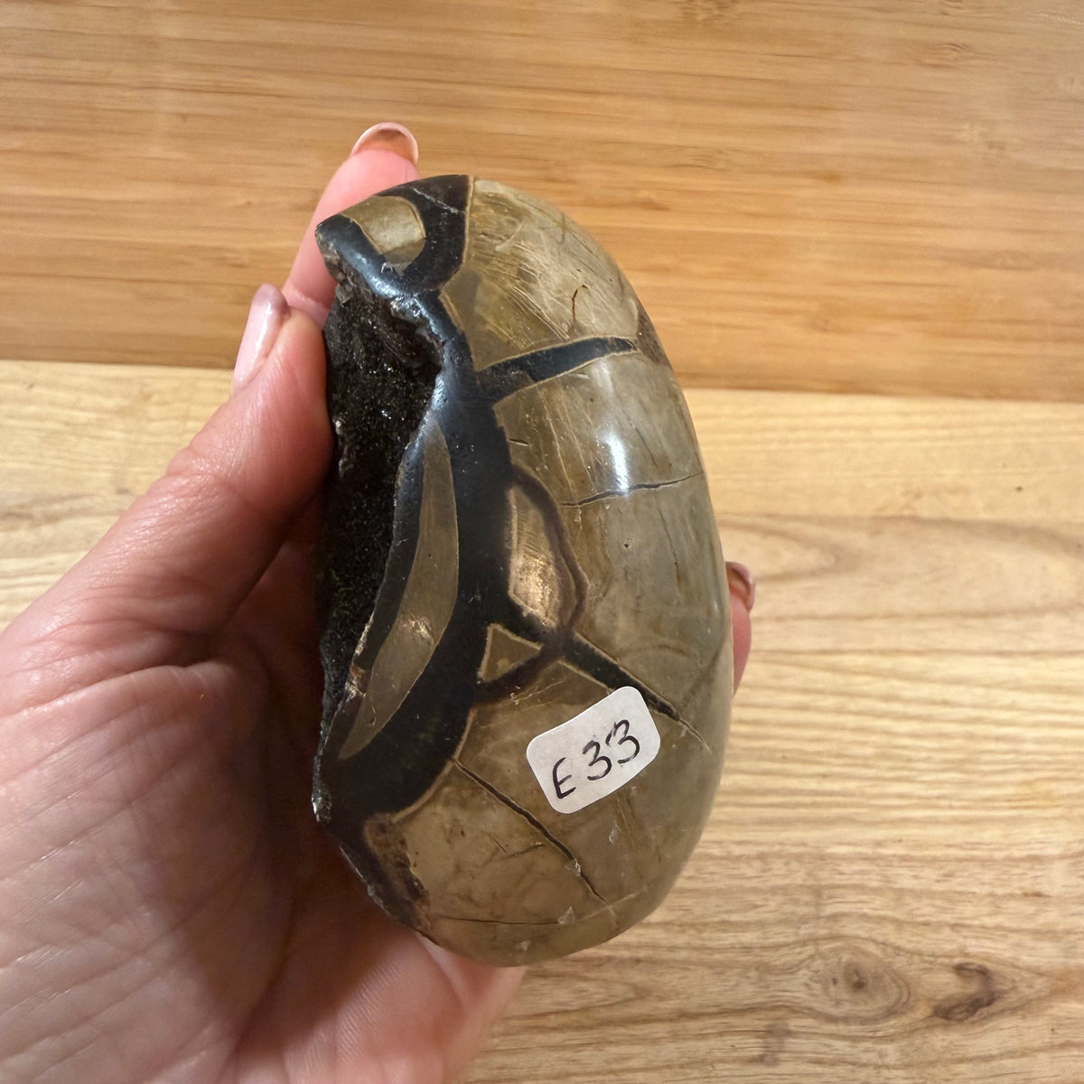 Septarian Raw & Polished Egg Display Piece