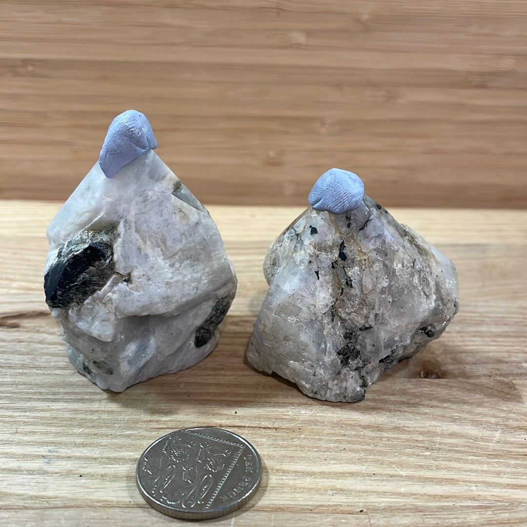 Rainbow Moonstone Raw with Cut and Polished Point