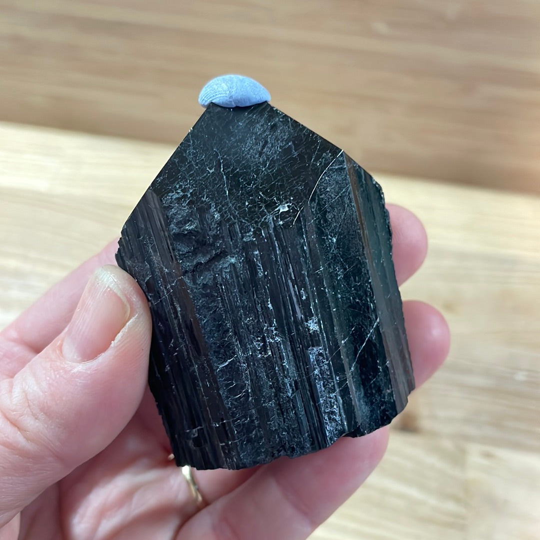 Black Tourmaline Raw and Polished Point