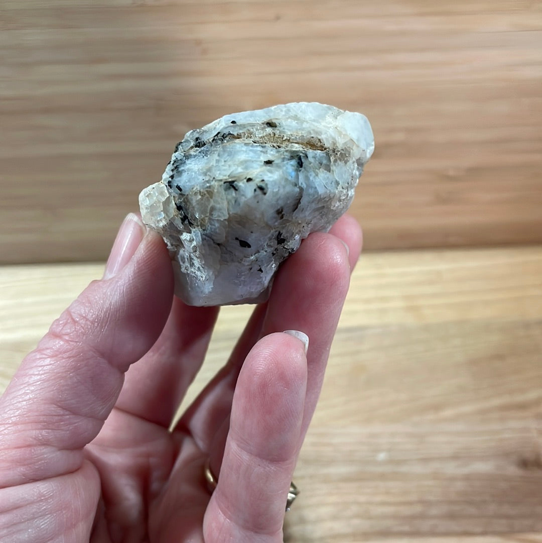 Rainbow Moonstone Raw with Cut and Polished Point