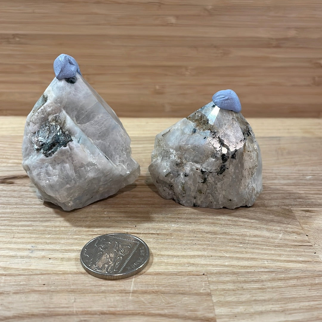 Rainbow Moonstone Raw with Cut and Polished Point
