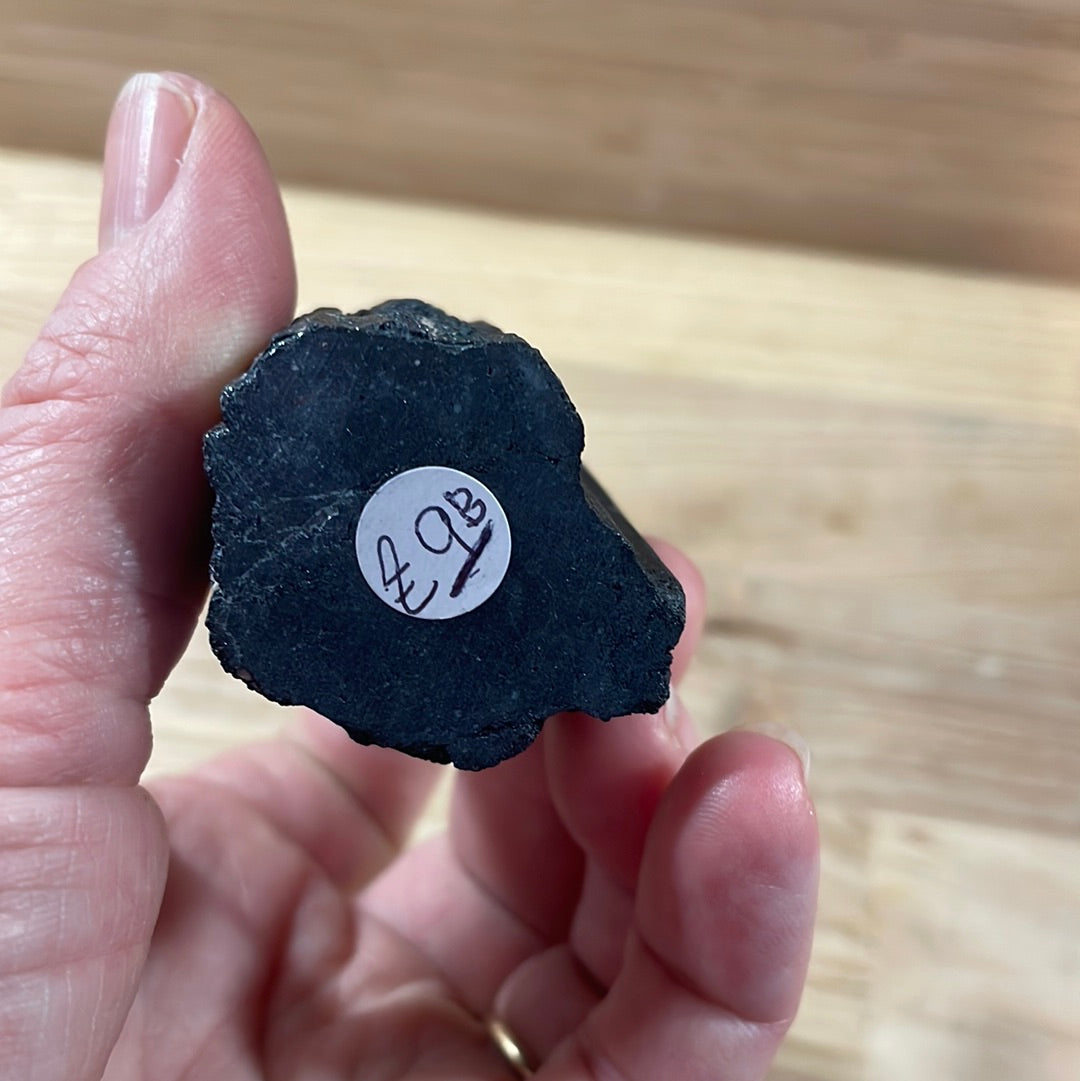 Black Tourmaline Raw and Polished Point