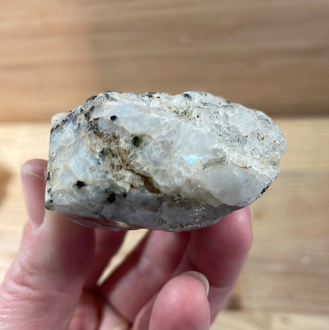 Rainbow Moonstone Raw with Cut and Polished Point