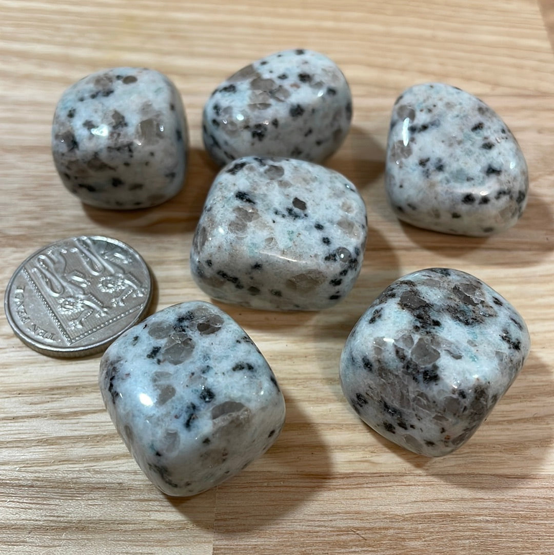 Kiwi Jasper Tumblestone