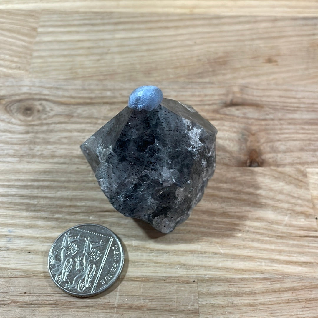 Tourmalinated Quartz Raw with cut and polished point
