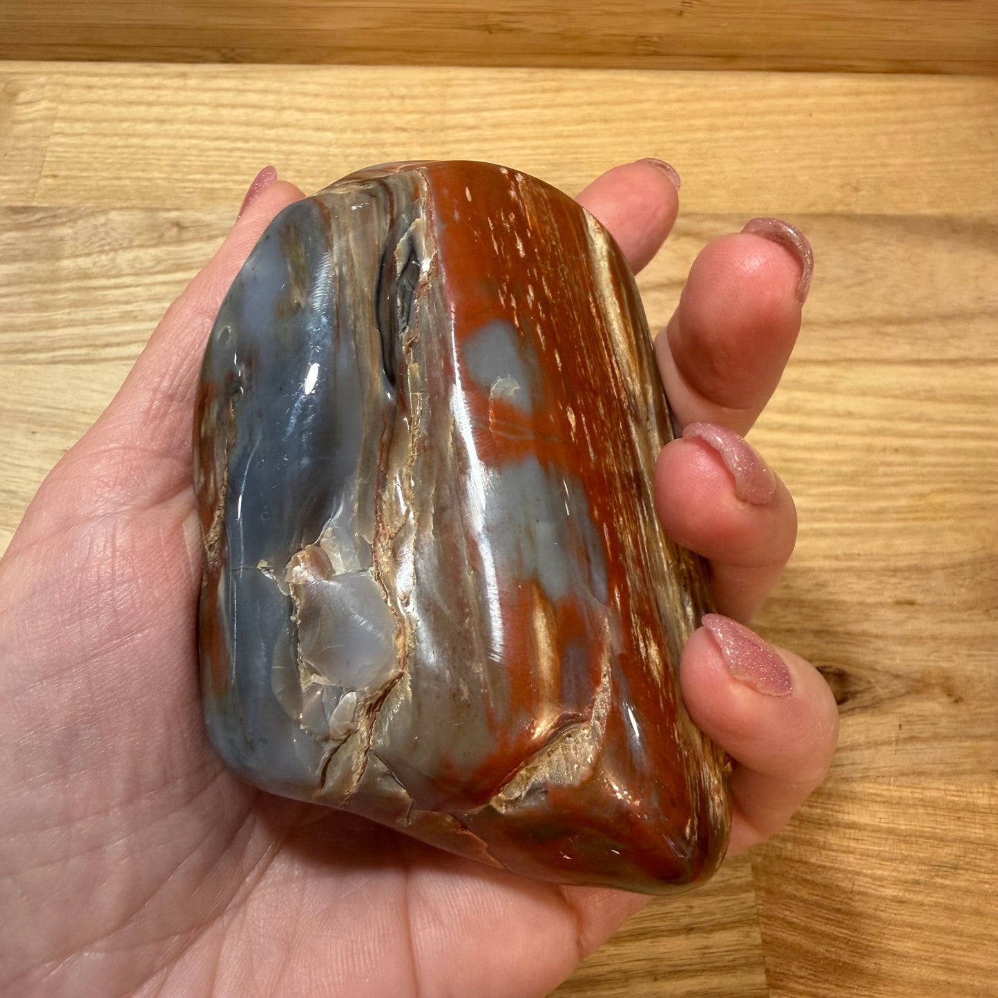 Fossilised Wood Polished Piece