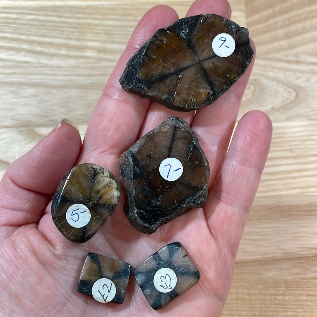 Chiastolite ‘Cross Stone’ Specimens