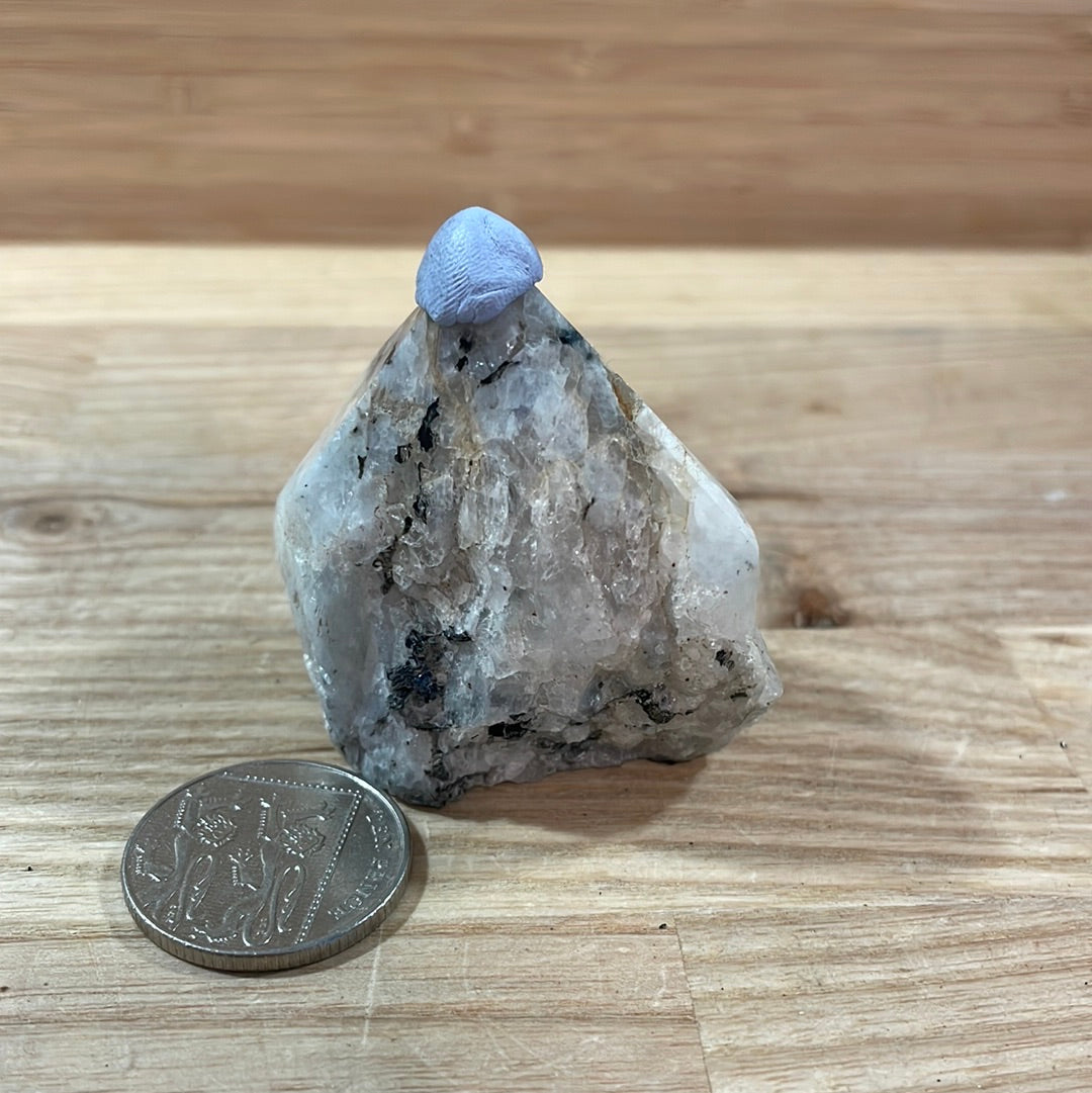 Rainbow Moonstone Raw with Cut and Polished Point
