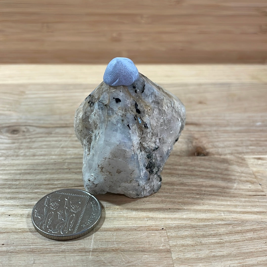 Rainbow Moonstone Raw with Cut and Polished Point