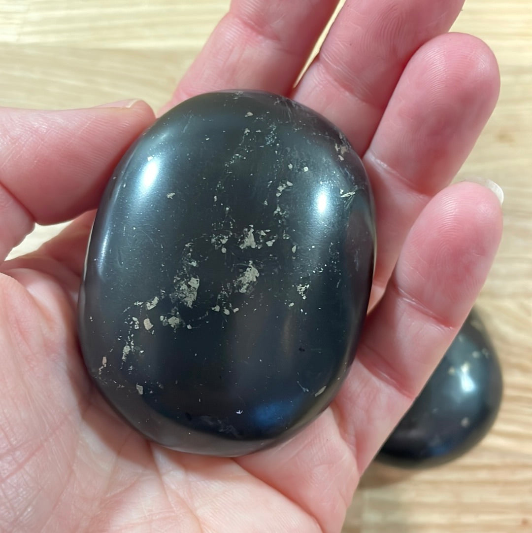 Shungite Palmstone