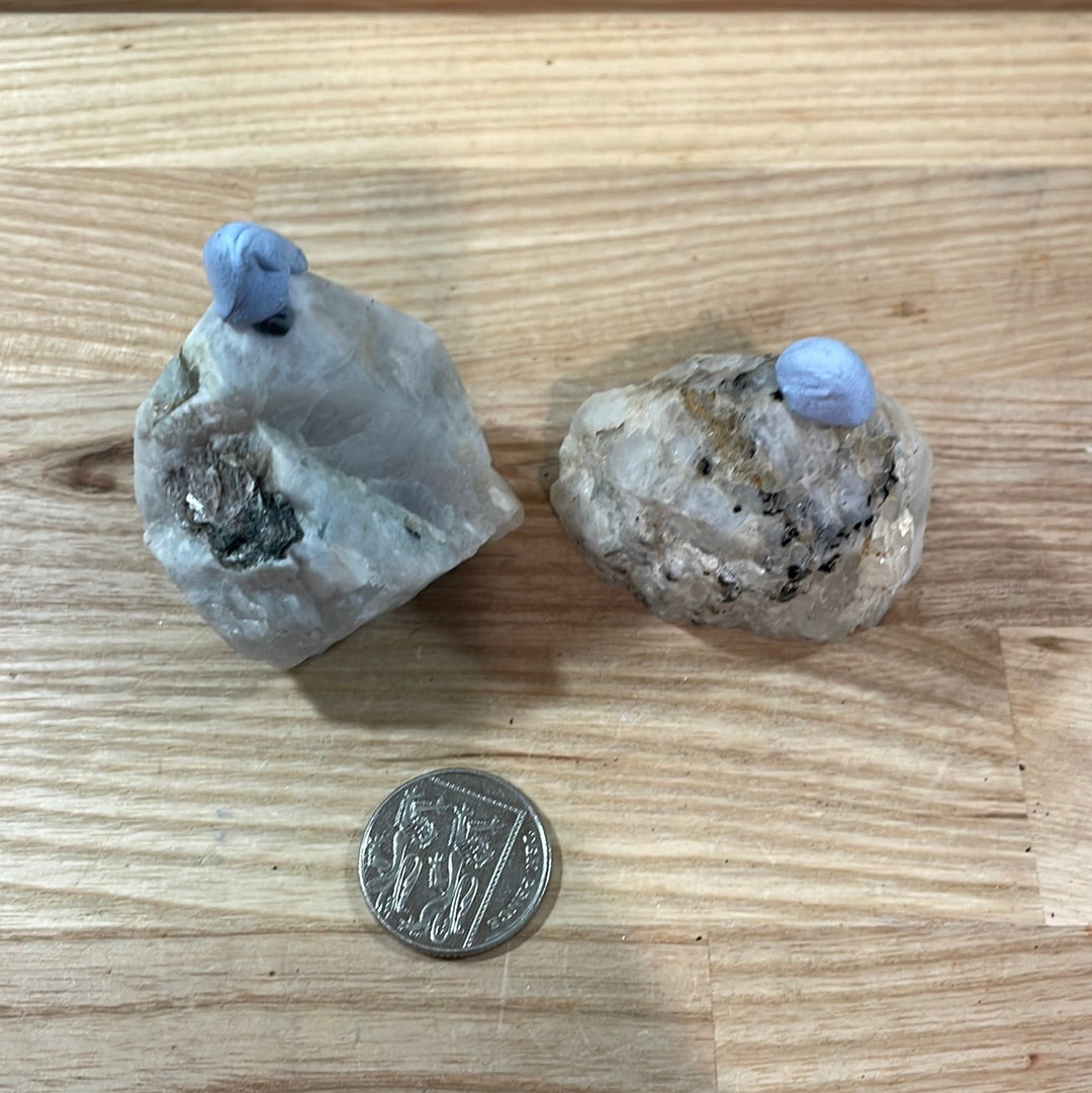 Rainbow Moonstone Raw with Cut and Polished Point