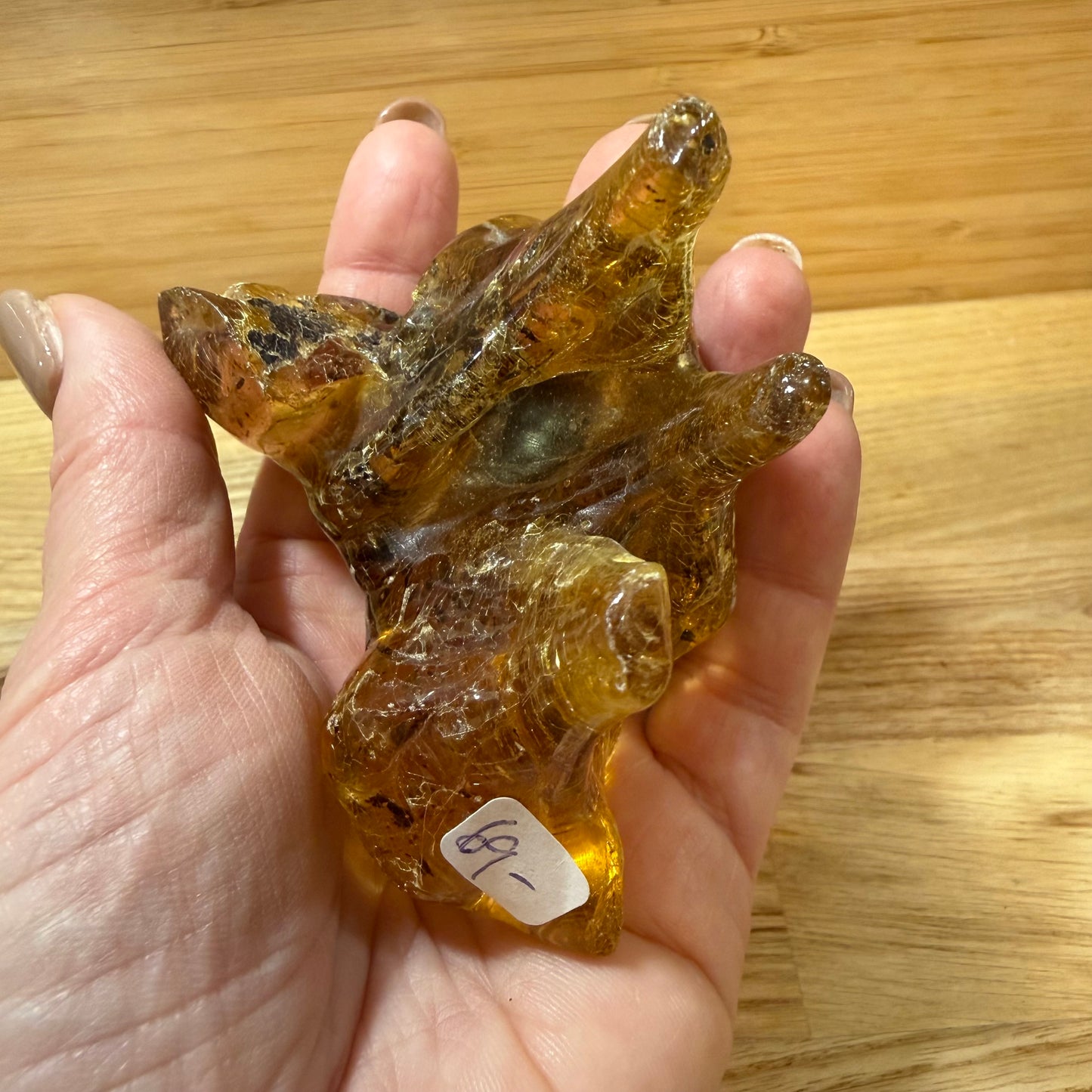 Amber (with Insects & Plant Inclusions)