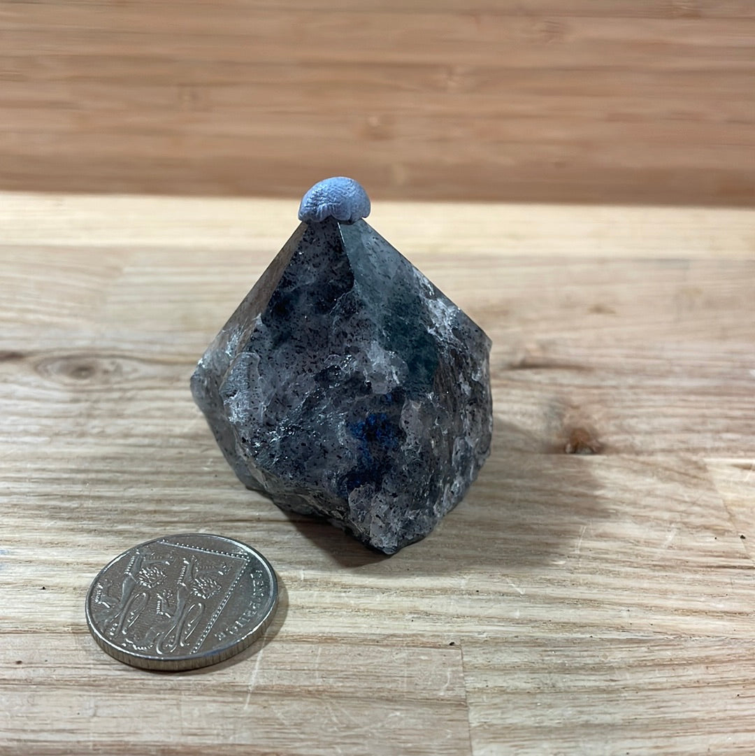 Tourmalinated Quartz Raw with cut and polished point