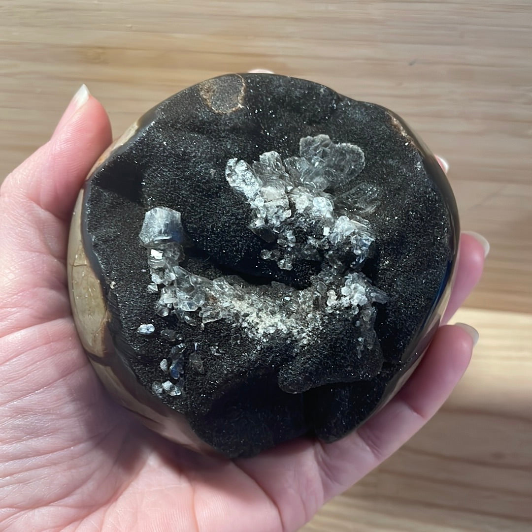 Septarian Raw & Polished Display Piece