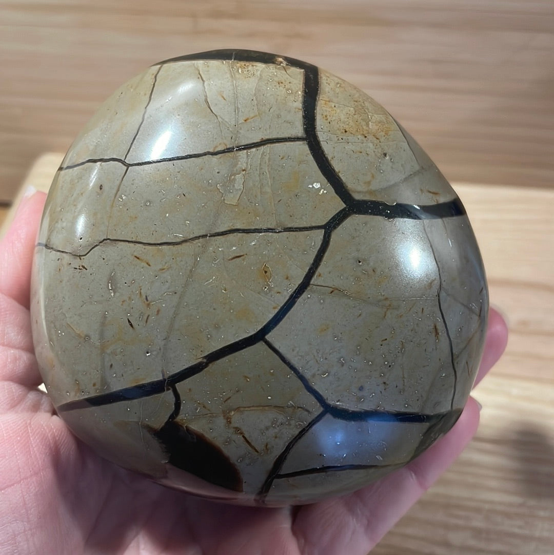 Septarian Raw & Polished Display Piece