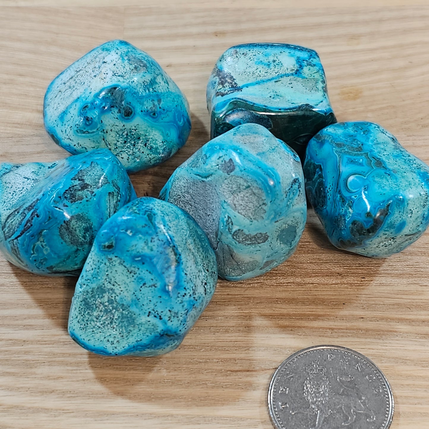 Malacholla Pebbles