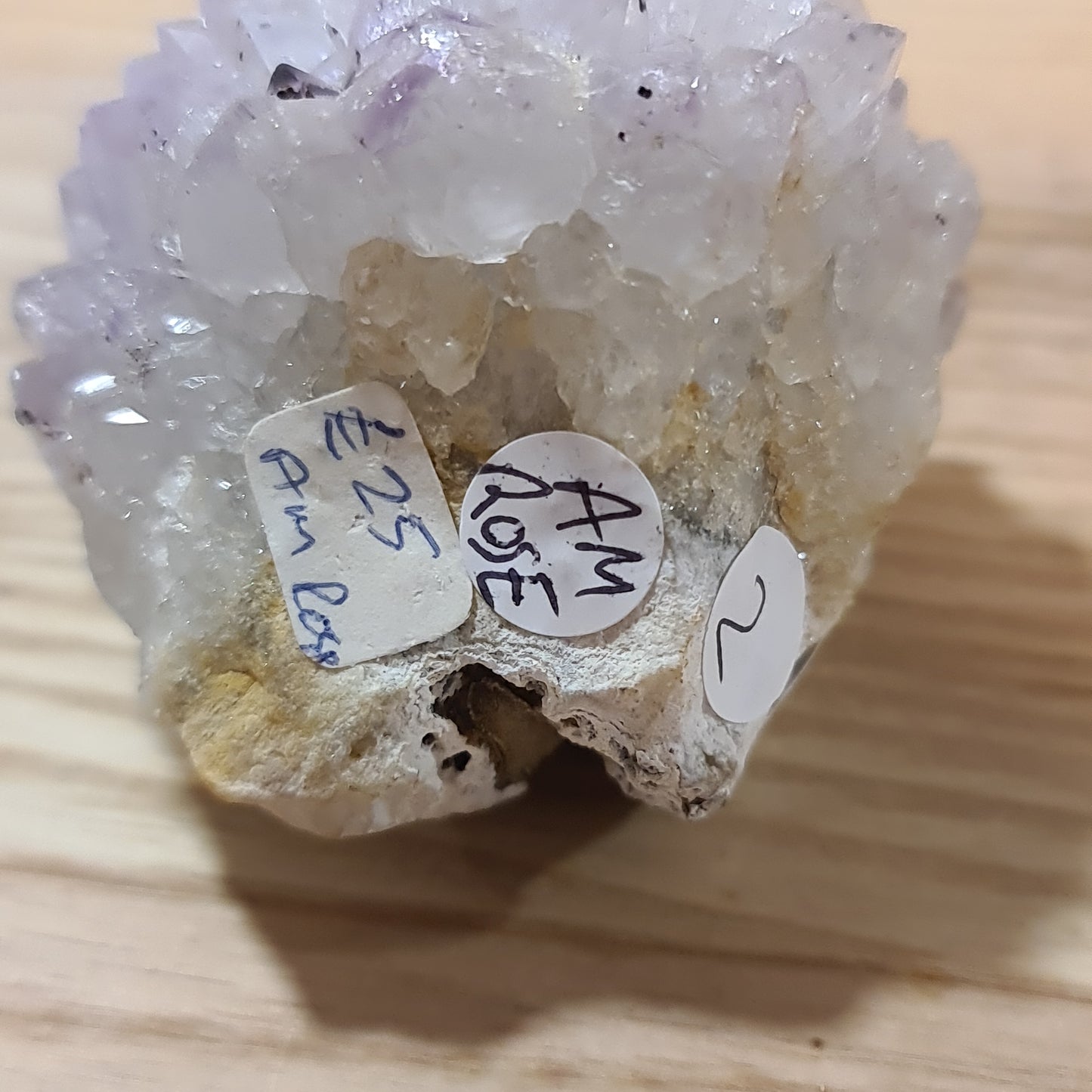 Amethyst Roses