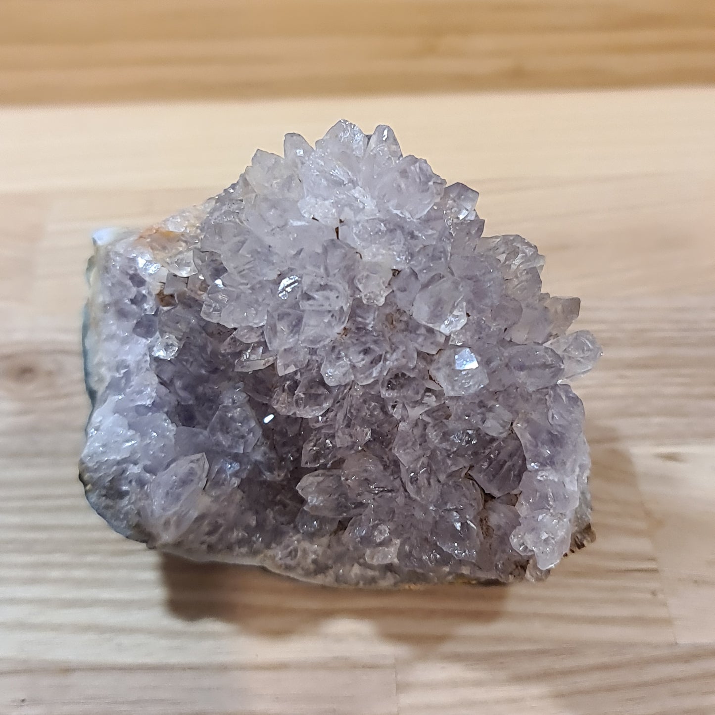Amethyst Roses