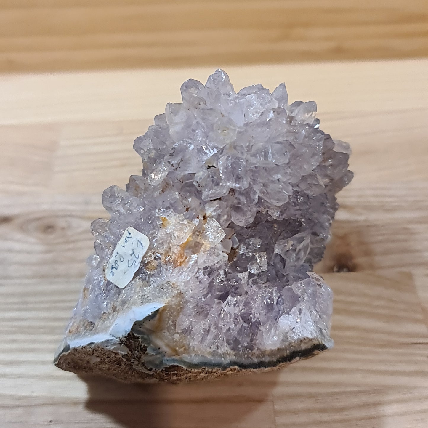 Amethyst Roses