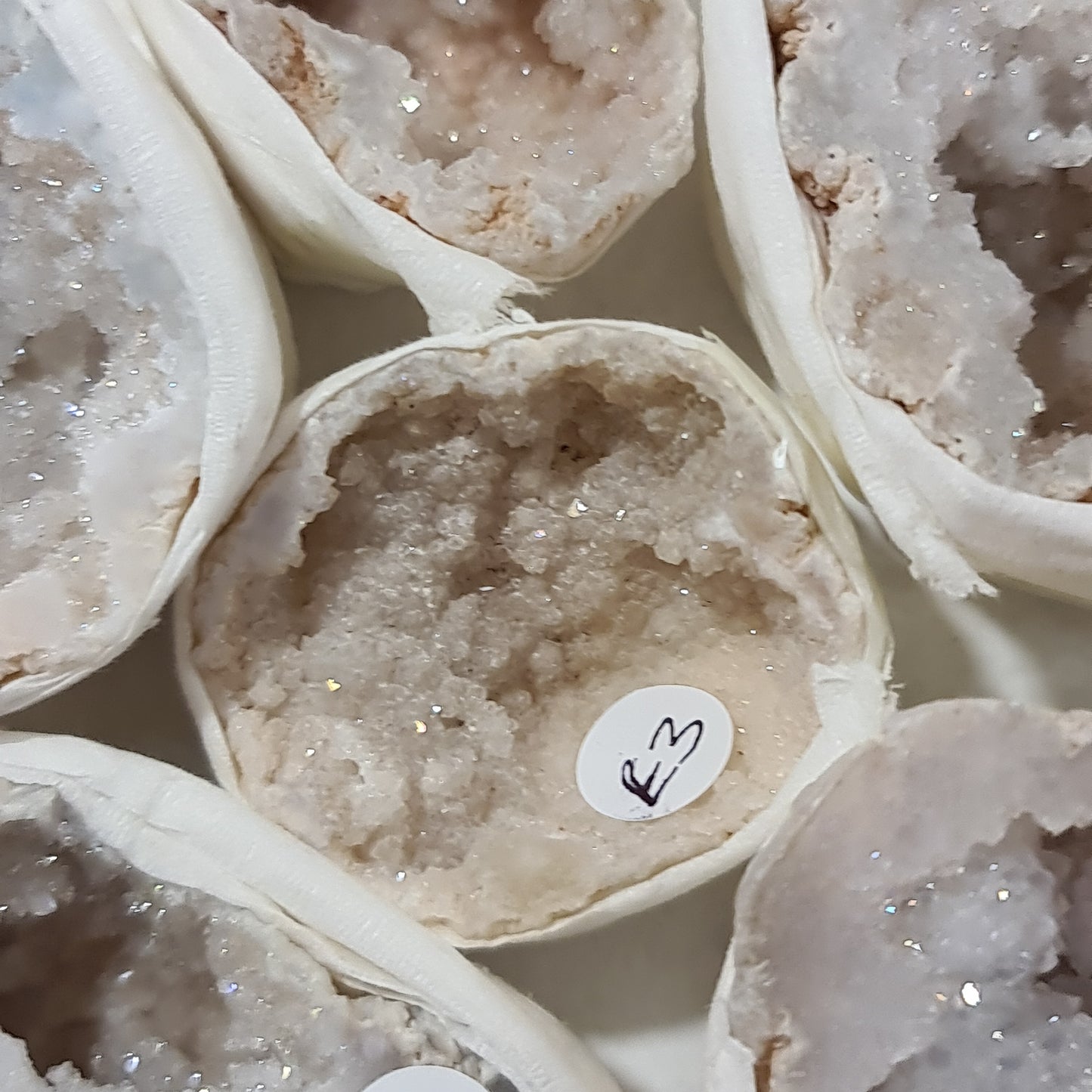 Angel Aura Quartz Geodes Box C