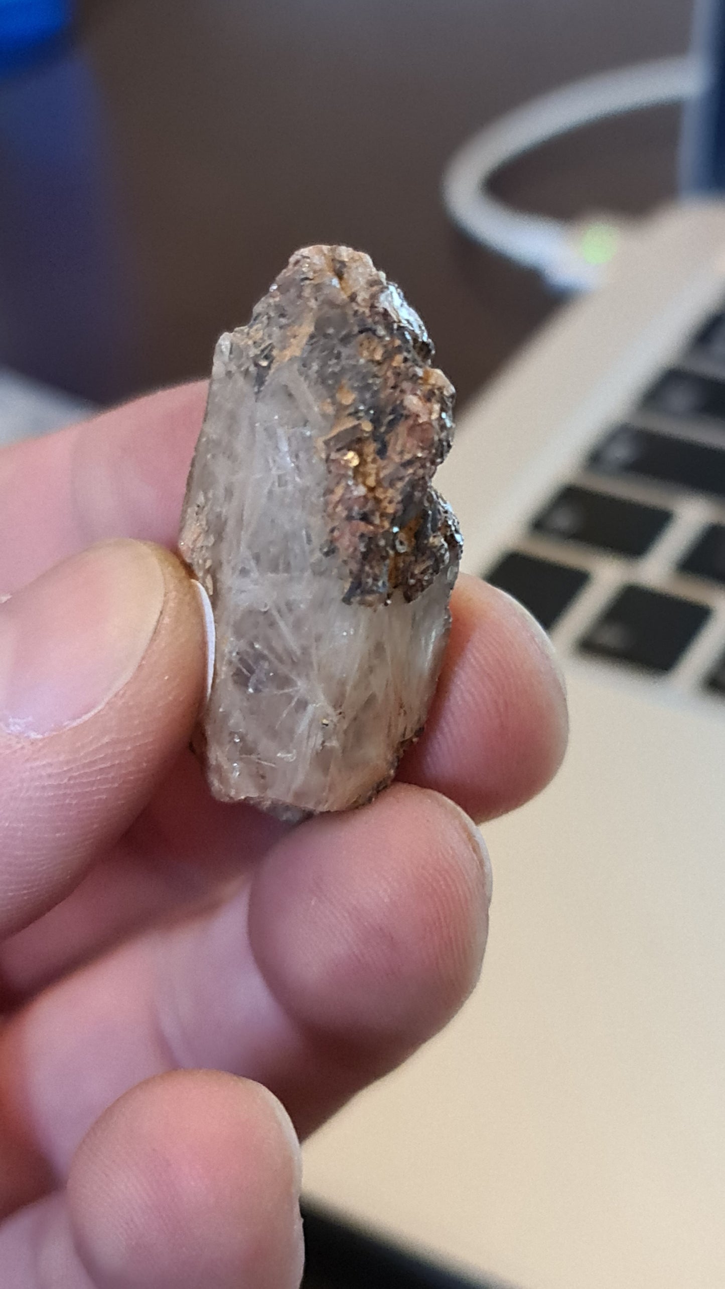 Witches Finger