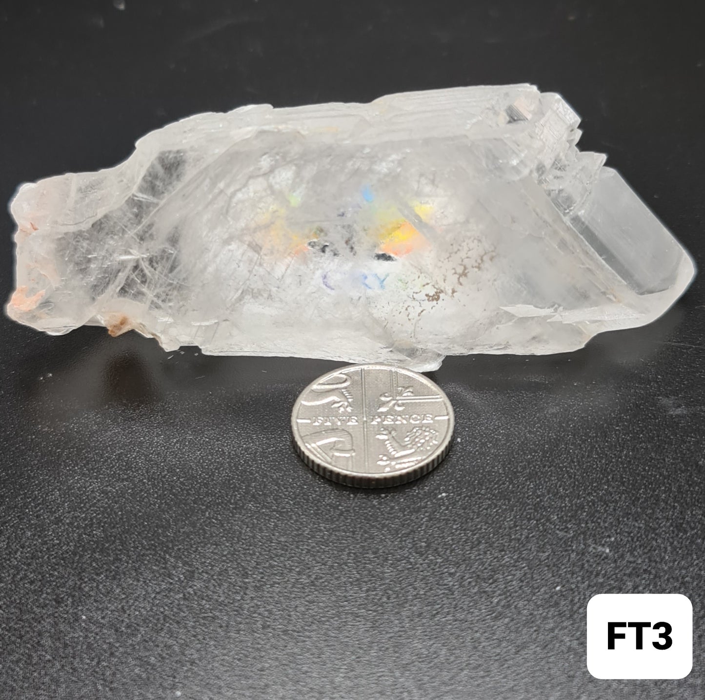 Fishtail Selenite - FT3