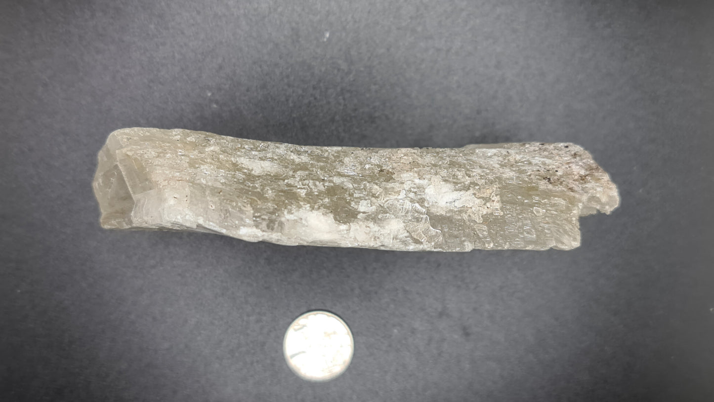 Fishtail Selenite - FT7