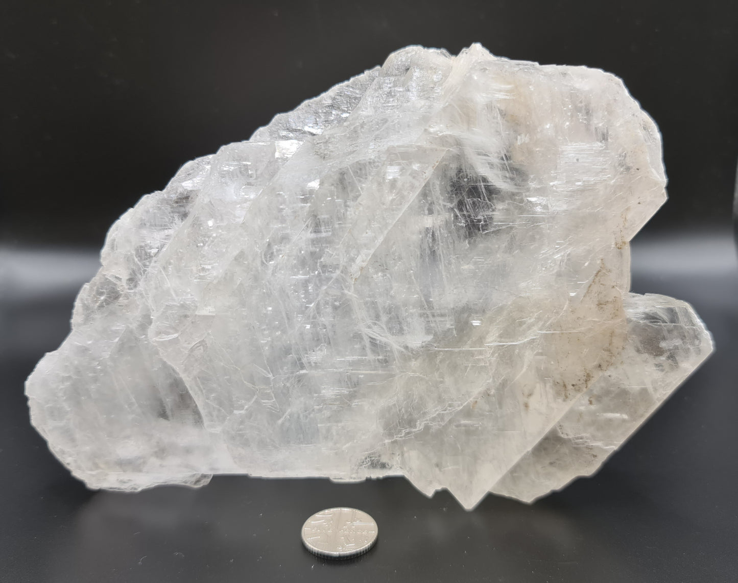 Fishtail Selenite - FT8