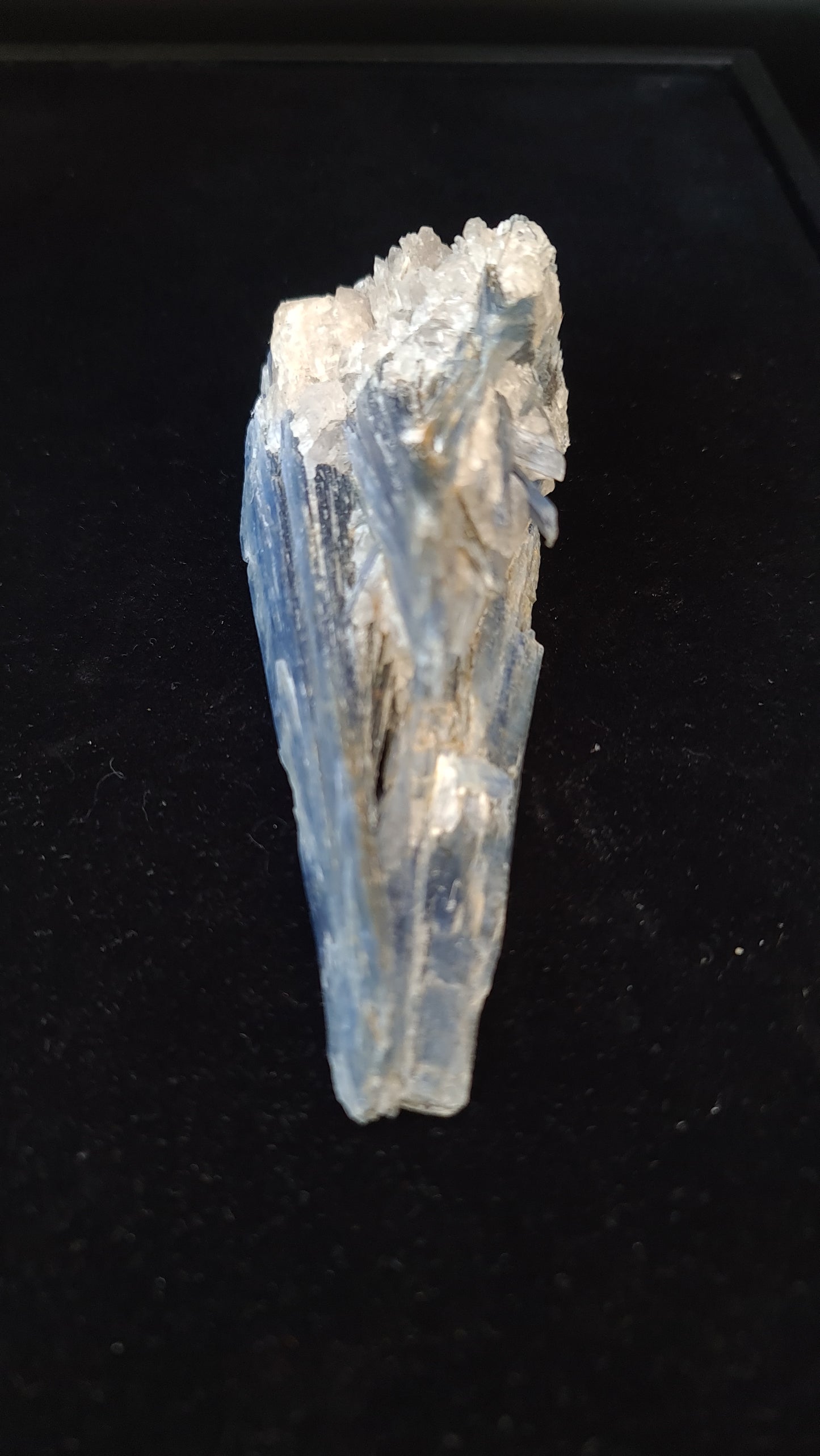 Kyanite Raw - KY5