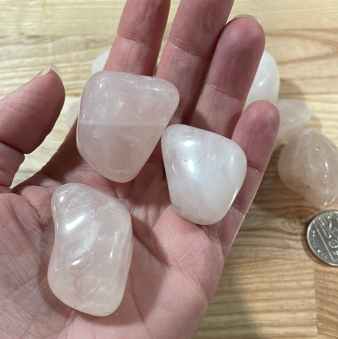 Rose Quartz Pebbles (medium)