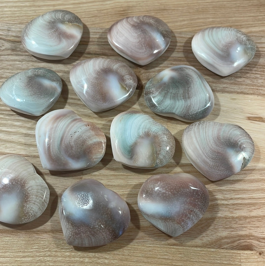 Shiva Shell Heart