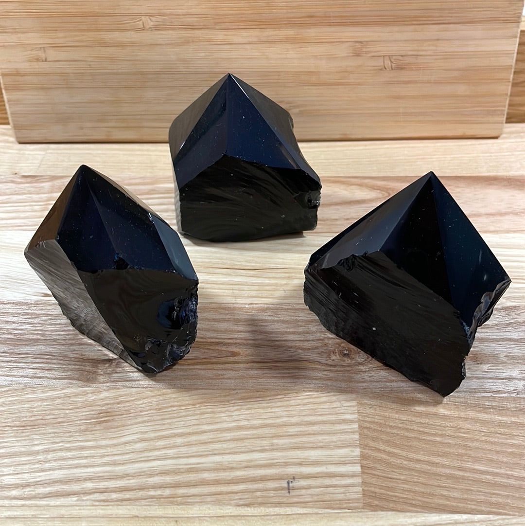Black Obsidian Raw with Cut and Polished Point