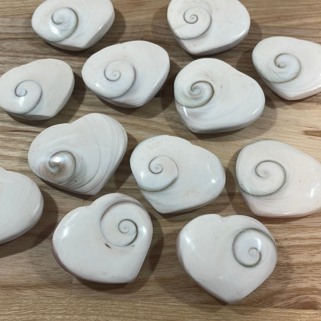 Shiva Shell Heart