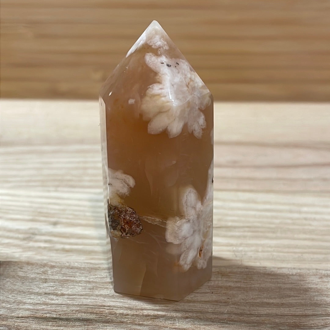 Flower Agate Points