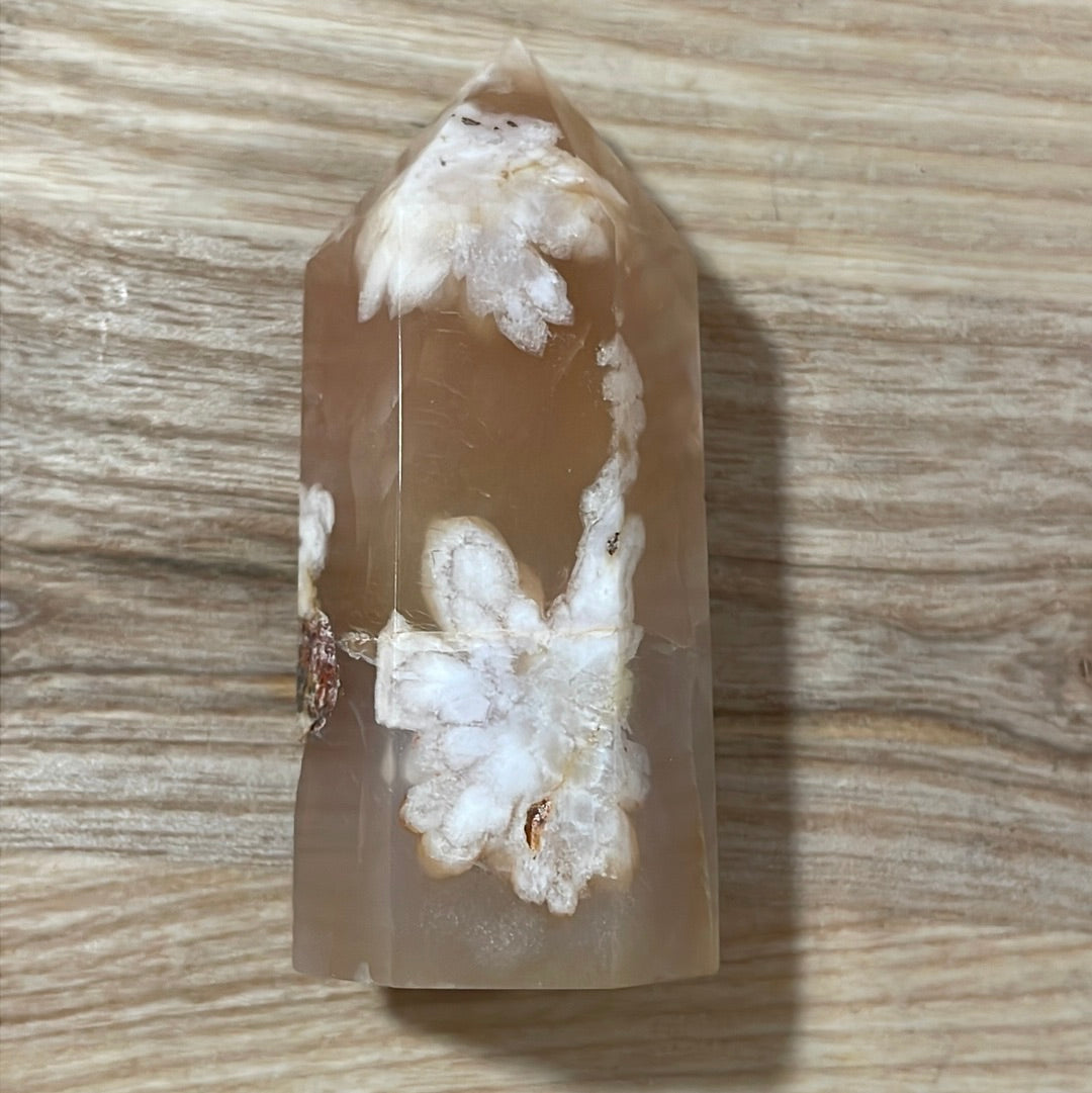 Flower Agate Points