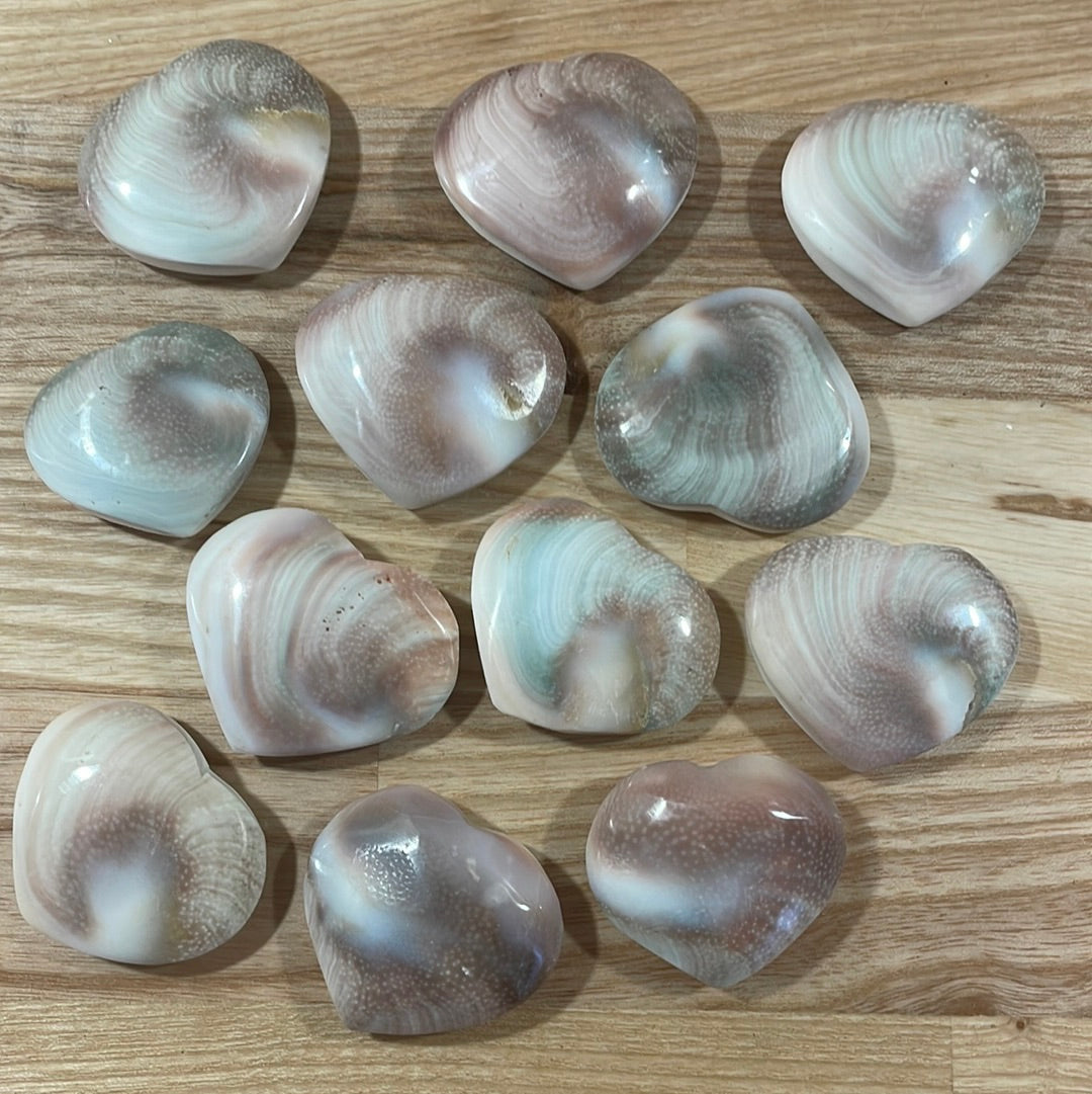 Shiva Shell Heart