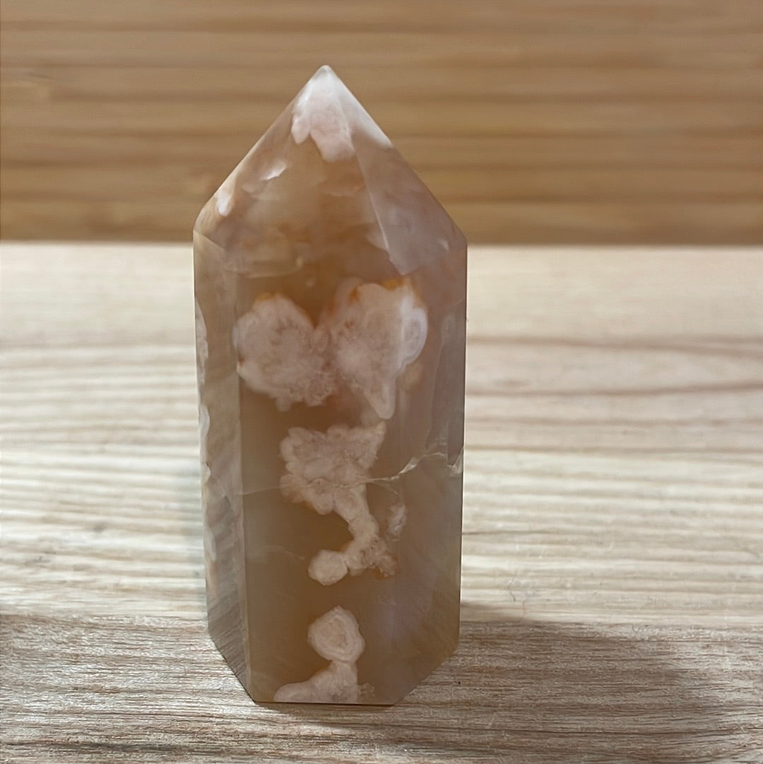 Flower Agate Points