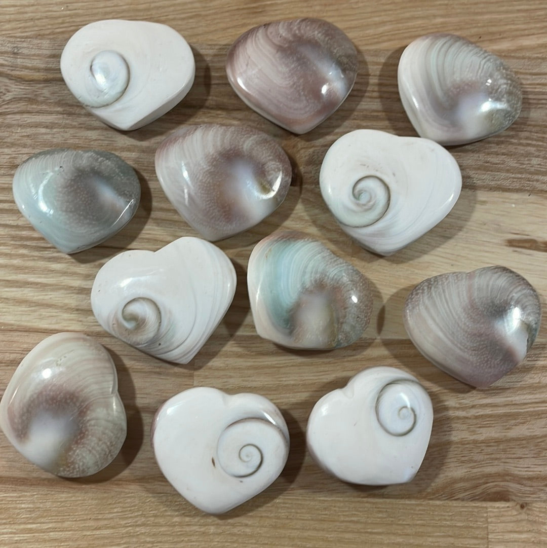 Shiva Shell Heart