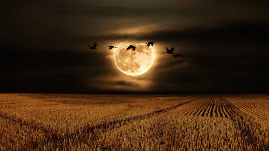 Hunters Full Moon October 2023